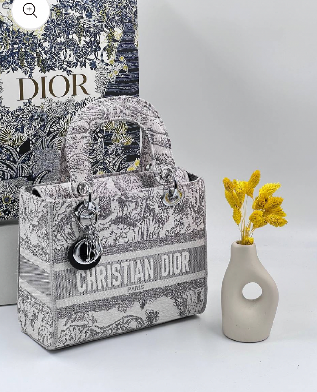 Cristian Dior canvas
