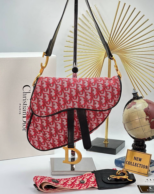 Christian Dior saddle #34